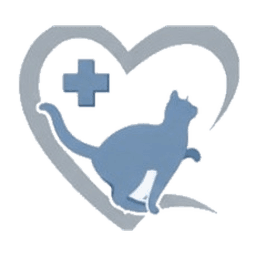 Cats & Care Hospital Veterinario